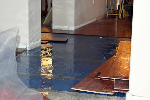 Professional Water Damage Repair technician working in Lake City, PA